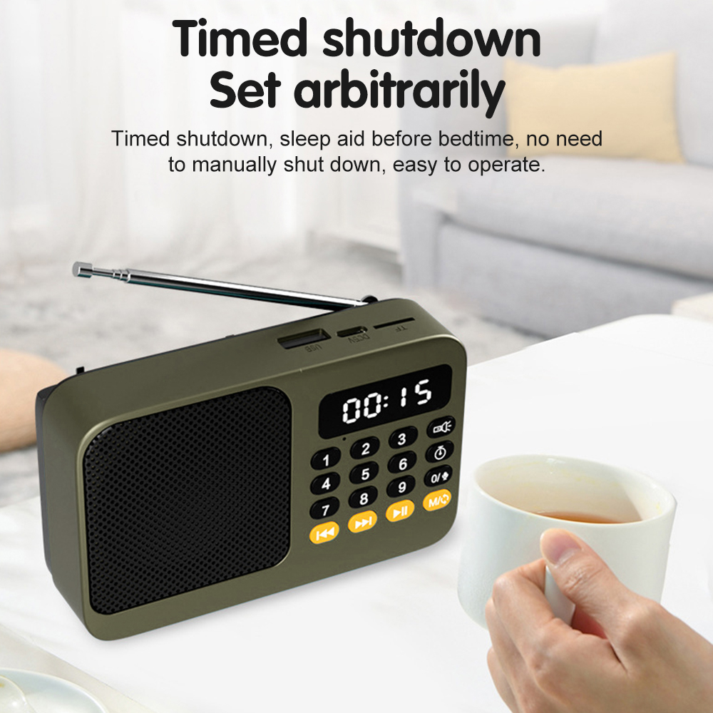 Handheld oplaadbare digitale F - Audio Music App recensie en prijs