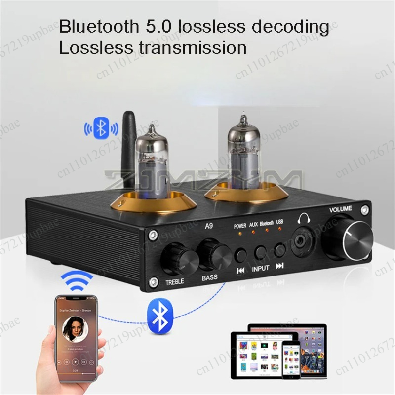 A9 Vacuümbuisvoorversterker, H - Audio Music In Youtube recensie en prijs