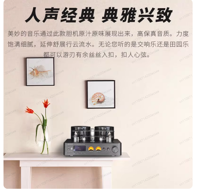 220V 400W * 2 High Fidelity dr - Audio Music In Youtube recensie en prijs